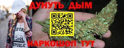 прущие грибы Чебоксары