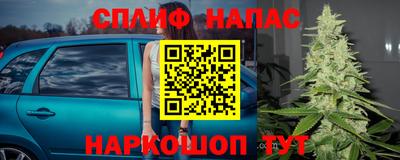 крисы Усть-Илимск